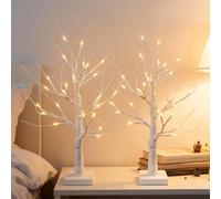 Set of 2 White Christmas Tree with Lights 2FT Mini Birch Twig Tree Ornament with 24 Warm White LEDs Battery Operated Tabletop Decoration for Christmas Home Party Wedding