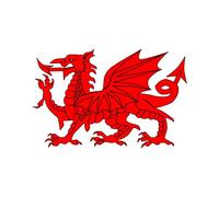 Set of 2 x Welsh Dragon Iron on Screen Print Fabric Applique Machine Washable Transfer Wales Dragon