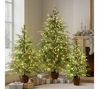 Set of 3 2ft 3ft 4ft Pre-lit Twinkle Christmas Norfolk Pine Tree with 175 LED Light Realistic Artificial Trees with Woven Basket Base Xmas Holiday Decor for Indoor Living Room Home (Norfolk Pine Tree)
