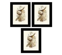 Set of 3 - Black Frame 6"x 8" Glass Front Wood Picture Frames Certificate Frame Portrait Landscape Wall Mountable/Tabletop Photo Frame Picture Display Art Wall Gallery Home Office Decor