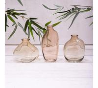 Set of 3 Brown/Amber Glass Bottle Flower Display Bud Vases
