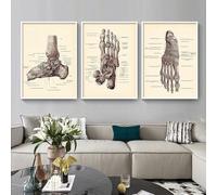 Set Of 3 Canvas Poster Abstract Feet Skeleton Vintage Clinical Anatomy Medicine Medical Black Beige Wall Art Prints Gift Bedroom Living Room Dorm Gallery Corridor Decor Picture,30x40 CM (11.8x15.8 In)