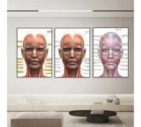 Set Of 3 Canvas Poster Facial Muscles Anatomy Medical Spa Plastic Surgery Spa Nurse Syringe Decor Beautician Wall Art Prints Gift Bedroom Living Room Dorm Gallery Corridor Decor Picture,A2 (42X60CM)