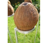 Set of 3 coconut shy posts - 1m Long - Fair games outdoor - Great for Carnivals, Fetes and Fundraising