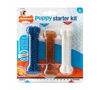 Set of 3 dog toys Nylabone Puppy Starter Kit - 1 Puppybone Chicken / 1 Extreme Chew Chicken / 1 Dental Blue S