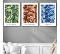 Set Of 3 Framed Framed Blue, Green Brown William Morris Floral / 50X70Cm / White