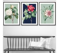 Set Of 3 Framed Vintage Flowers Camellia Blue And Green / 30X42Cm (A3) / Black