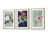 Set Of 3 Framed Vintage Flowers Camellia Blue And Green / 30X42Cm (A3) / Oak
