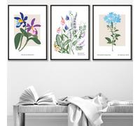 Set Of 3 Framed Vintage Graphical Colourful Wild Flower Market / 30X42Cm (A3) / Black
