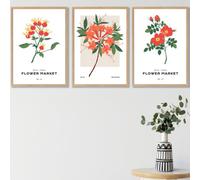 Set Of 3 Framed Vintage Graphical Orange Flower Market / 42X59Cm (A2) / Oak