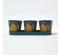 Set of 3 Herb Pots with Tray, Citrus Print