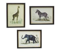 Set Of 3 Jungle Safari Animal Pictures For Walls | 3 Piece Zebra Elephant Giraffe Wall Art Framed Animal Prints | Pack Of Three Animal Framed Wall Art