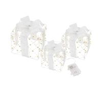 Set of 3 Lighted Gift Boxes Christmas Decorations, 48 LEDs Warm White Present Boxes, Indoor/Outdoor Holiday Ornament Boxes, Acrylic Pre-lit Parcel Boxes for Xmas Tree, Party, Home, Garden