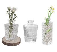 Set of 3 Mini Clear Glass Vase,Small Flower Bud Vase Hydroponics Planter Decorative for Flower,Table,Party,Home,Centerpieces(Clear 2)