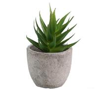Set of 3 Miniature Faux Succulents for Stylish For home and Office Decoration, for Busy People Looking for Ease (set3)