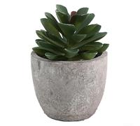 Set of 3 Miniature Faux Succulents for Stylish For home and Office Decoration, for Busy People Looking for Ease (set2)