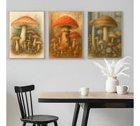 Set of 3 Paintings of Red Fly Agaric Mushrooms - A5 A4 A3 Art Posters Wall Art Modern Painting Prints for Home Office or Workspace Interior Decoration (A3 (420x297mm), High-resolution paper)