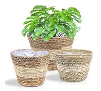 Set of 3 plant baskets, flower baskets, braided, old seagrass basket, hand-woven planters, flower pot, plant basket