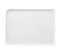 Set of 3 Rectangular Plastic Trays - Perfect for Breakfast Fruits Bread - Ideal for Home Café Hotel Food Service and Events