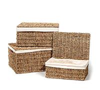 Set of 3 Rectangular Seagrass Baskets with Lids and Removable Fabric Liners by Trademark Innovations (Small)