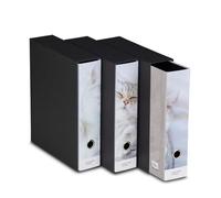 Set of 3 Ring Binders, Colour Code, White, Cat Theme, Glossy Plasticised, Ideal for A4 Sheets, Lever Mechanism