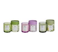 Set of 3 Scented Candles COLORFUL BARREL Soy Wax Fresh Notes Floral Notes