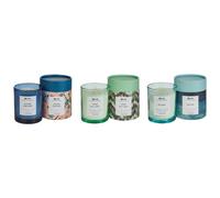Set of 3 Scented Candles COLORFUL BARREL Soy Wax Fresh Notes Floral Notes
