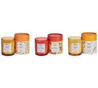 Set of 3 Scented Candles COLORFUL BARREL Soy Wax Fruity Notes