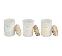 Set of 3 Scented Candles SIMPLICITY Soy Wax Fruity Notes Fresh Notes