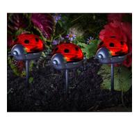 Set Of 3 Solar Powered Ladybird Stake Lights - Weatherproof Outdoor Garden Novelty Led Lighting For Path, Border Or Pots