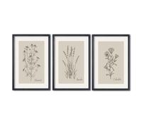 Set of 3 Unframed Vintage Botanical Prints Wall Art Wildflower Pictures Wall Decor for Bedroom Bathroom Living Room Minimalist Line Drawing Neutral Tones Wall 16x24inch