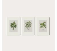 Set of 3 Vintage Palm Tree Prints | Three Tropical Palm Leaf Drawing Posters, Wall Art, Watercolour Artwork Picture, Home Decor Oswald123