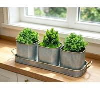 Set of 3 Windowsill Herb Plant Pot Metal Herb Planter With Tray for kitchen | Galvanized metal, rust resistant, weather resistant, drainage hole, slim drip tray to fit a narrow windowsill