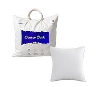 Set of 4-25cm x 25cm Hollowfibre Cushion New White Pad Inner Stuffer Pillow Polyester Insert Square Hypoallergenic (Pack of 4 | 10" x 10")