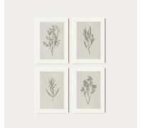 Set of 4 Antique Botanical Prints | Four Minimal Drawing Posters, Natural Tone Wildflower Wall Art, Beige Artwork, Elegant Home Decor SP1235