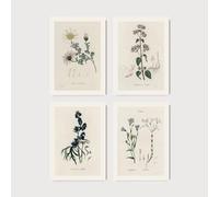Set of 4 Antique Botanical Prints | Four Minimal Drawing Posters, Wildflower Wall Art, Neutral Tone Herb Sketch Artwork, Home Decor JS1456