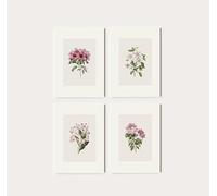 Set of 4 Botanical Illustration Prints | Four Blooms Drawing Posters, Simple Blooming Wall Art Beige Artwork, Wild Flower Home Decor BHL 1-4