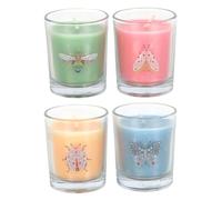 Serano Set of 4 Floral Bug Mandarin & Bergamot Candles - Paraffin Wax - 1