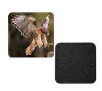 Set Of 4 Hawk Birds Of Prey synthetic Leather Square Coasters And Gift Box