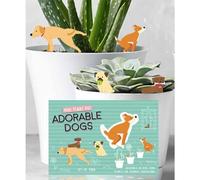 Set of 4 Mini Plant Pot Dogs - Novelty Pant Pot Garden Decorations - Indoor Plant Gift Idea