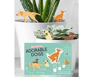 Set of 4 Mini Plant Pot Dogs - Novelty Pant Pot Garden Decorations - Indoor Plant Gift Idea