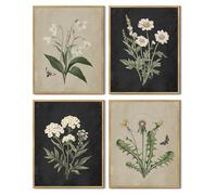 Set of 4 No Framed Vintage Botanical Boho Wall Art, Antique Flower Prints Farmhouse Retro Plants Rustic Artwork Bathroom Kitchen Home Decor 12x16inch