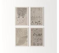 Set of 4 Santiago Ramon y Cajal Anatomy Prints | Vintage Biology Room Wall Art, Dr Surgery Poster, Medical Study Artwork, Picture No9101112