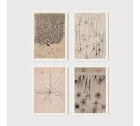 Set of 4 Santiago Ramon y Cajal Antique Anatomy Prints | Vintage Biology Wall Art, Dr Surgery Poster, Medical Study Artwork, Organs Picture