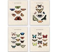 Set of 4 Vintage Butterfly Wall Art Print - Garden Butterflies Posters Perfect for Girls Bedroom Office Decoration/Poster with Colorful Butterfly Home Design Wall Artwork, Botanical Art (8x10)