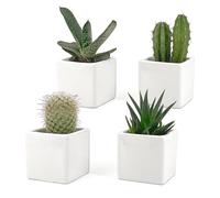 Set of 4 White Gloss White Ceramic Indoor Pots | Size 6.5 x 6.5 cm | Ideal for Succulents, Bonsai, Flowers, Modern Indoor Decorative Pots for Home, Desk, Table, Office