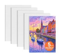 Set of 5 Canvas for Painting, Canvas 30 x 40 cm, 280 g Cotton Canvas, Blank Canvases for Painting for Acrylic, Oil, Watercolour, Ideal for Artists, Students and Beginners