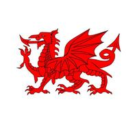 Set of 5 Welsh Dragon Iron on Screen Print Fabric Applique Machine Washable Transfer Wales Dragon