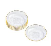 Set of 6 Clear Acrylic Salad Plates 6 Inch Dinner Dessert Plates, Round Appetizer Plates, Shallow Bowl Dishes for Restaurants - Ideal for Kitchen Pancakes, Steaks, Snacks, Fruits, Partie (6)