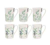 Set of 6 Eucalyptus New Bone China Coffee Mugs Afternoon Tea Cups Home Kitchen